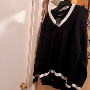 Brandy Melville “V-Neck Sweater “